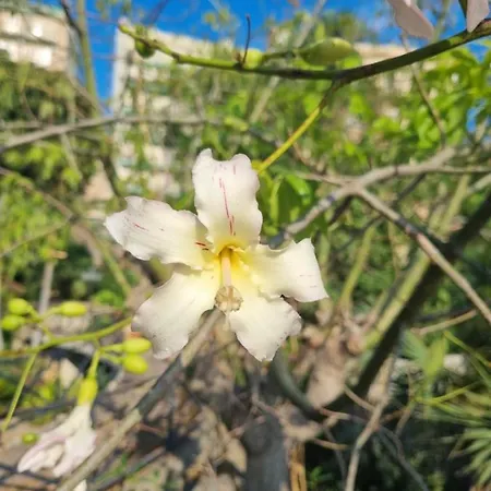 Sul Molo Tra Siracusa E Catania * Augusta