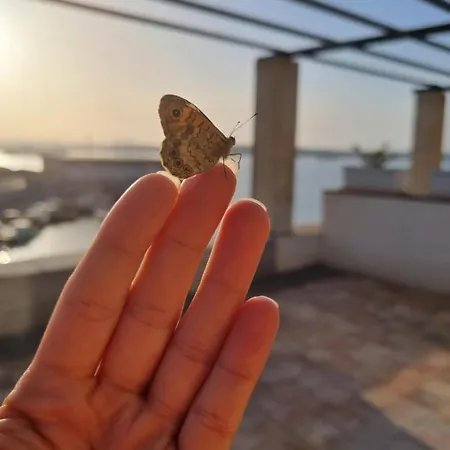 Bed & Breakfast Sul Molo Tra Siracusa E Catania