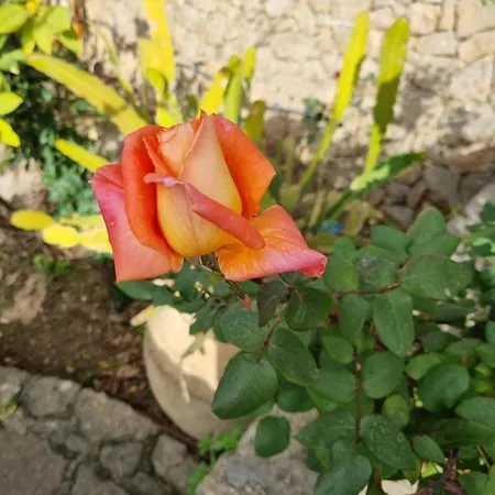 Sul Molo Tra Siracusa E Catania Bed & Breakfast